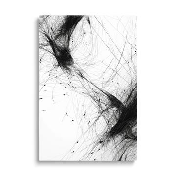 PENCIL WEB